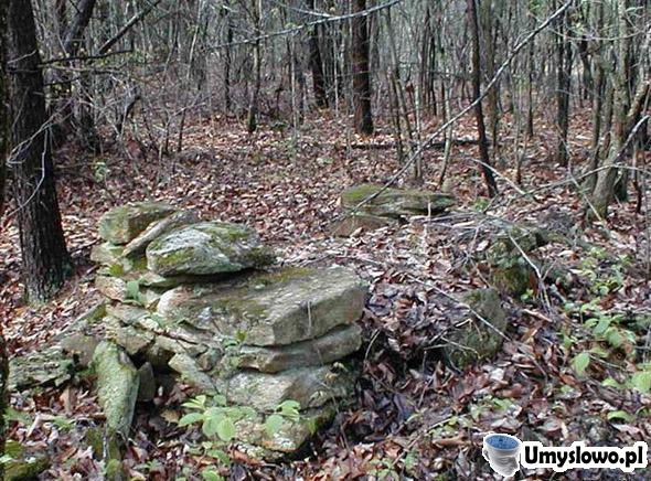 Znajdź twarz ukrytą w lesie.