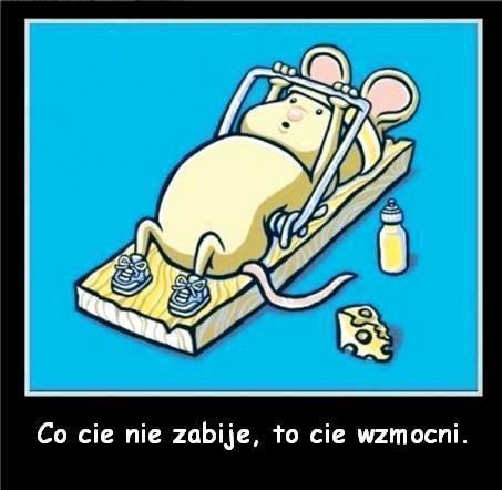 Co cię nie zabije to cię wzmocni.